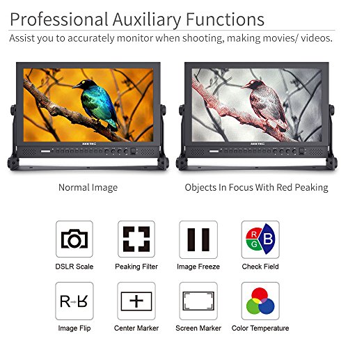Image of P173-9HSD 17.3 inch Broadcast Studio Video Monitor IPS Full HD 8 Bit 1920x1080 3G SDI 4K HDMI for Professional Live Event Post Production Director Film Camera Field
