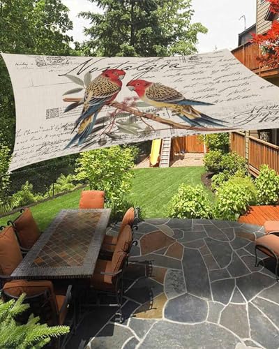 Retro Birds Sun Sail Shades Rectangle Canopy,Sunlight Block Heavy Duty Curved Backyard Shade Cover,Waterproof Sun Shades for Patios Garden Outdoor,6.5'x10' Old Newspaper Antique Animal Beige Leaf
