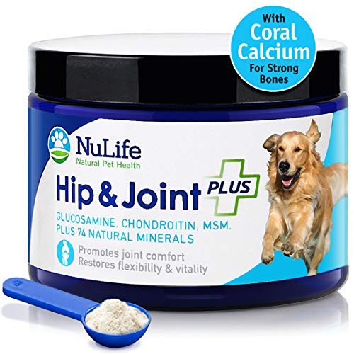 Advanced Glucosamine Powder for Dogs for Arthritis Pain Relief & Hip Dysplasia, Supports