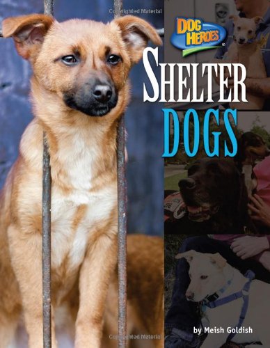 Shelter Dogs (Dog Heroes)