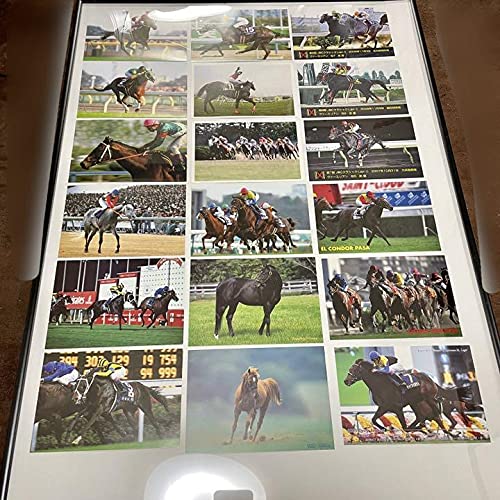 Amazon.co.jp: JRA 競馬 ポスター4枚+ポストカード複数セット : おもちゃ
