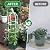 Garden Trellis for Climbing Plants, Rustproof Metal Pipe with Heavy Duty 6ft, Garden Outdoor Indoor Potted Plant Support?White?