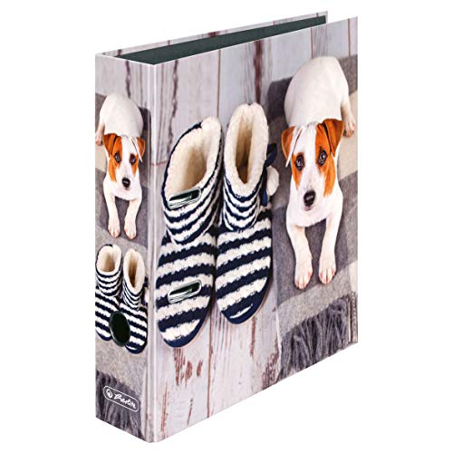 Preisvergleich Produktbild Herlitz Motivordner / DIN A4 / 80mm breit / "Hund"