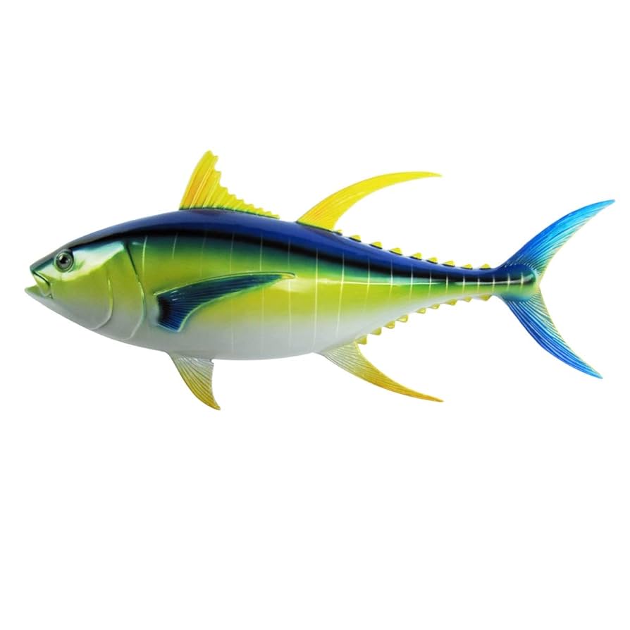 魚　剥製壁掛け 魚剥製壁掛け