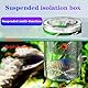 Niwugady Aquarium Fisch Züchter Box Acryl Fisch Isolation Zuchtbecken mit Saugnäpfen Schlüpfen Inkubator Box für Baby Fisch Garnelen Clownfisch Guppy