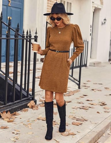Image of Zeagoo Women Fall Winter Dress Knitted Pullover Dresses