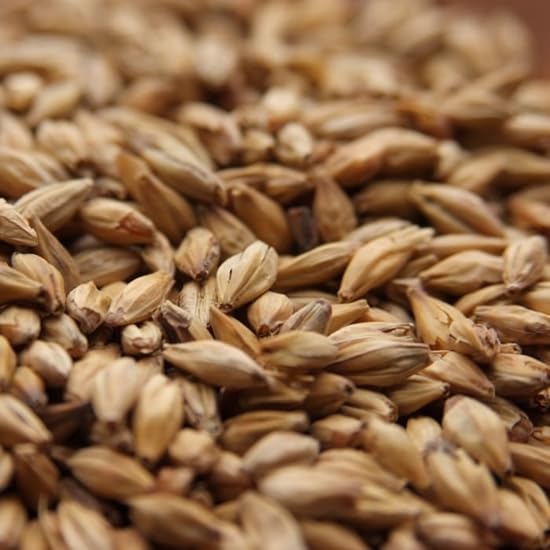 Melanoidin Malt - Specialty Malts 10 lbs beer brewing grains (Whole/Not Crushed)