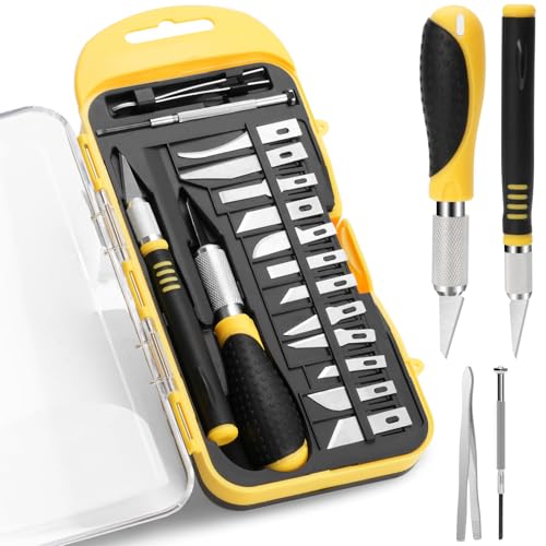 Drado 18 Stücke Skalpell Set, Carving Craft Messer Set, Präzision Bastelmesser Hobbymesser, 2 Tranchiermesser + 12 Klingen(Unterschiedliche Größe) + eine Pinzette + ein Schraubenzieher, DIY
