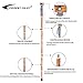 FOREST PILOT 3 Pieces Detachable Hardwood Walking Stick Cross Head with a Compass (Nature Color, 48 Inches, 1 Piece)…