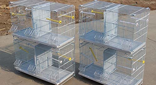 Amazon | 鳥かご バードゲージ 仕切り 付き 鳥小屋 大型 複数飼い