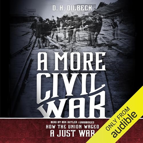 Page de couverture de A More Civil War