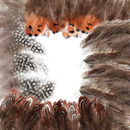 200 Pièces 4 Styles Plumes Artisanales Plumes Mouchetées Naturelles Plumes Tachetées de Poulet Plumes de Faisan Bricolage Plumes Colorées pour Attrape-Rêves Chapeau Projet d'Artisanat Cover