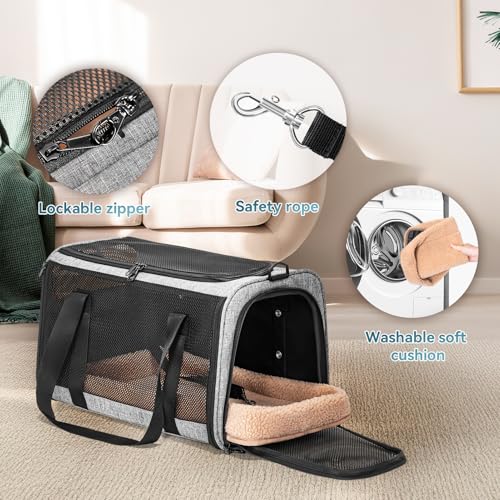 Petsfit Transportbox für Katzen – Faltbare Transporttasche mit Schultergurt, 4-seitigem Netz & weichem Innenkissen – ideal fürs Auto, Reisen & Tierarztbesuche – auch für kleine Hunde