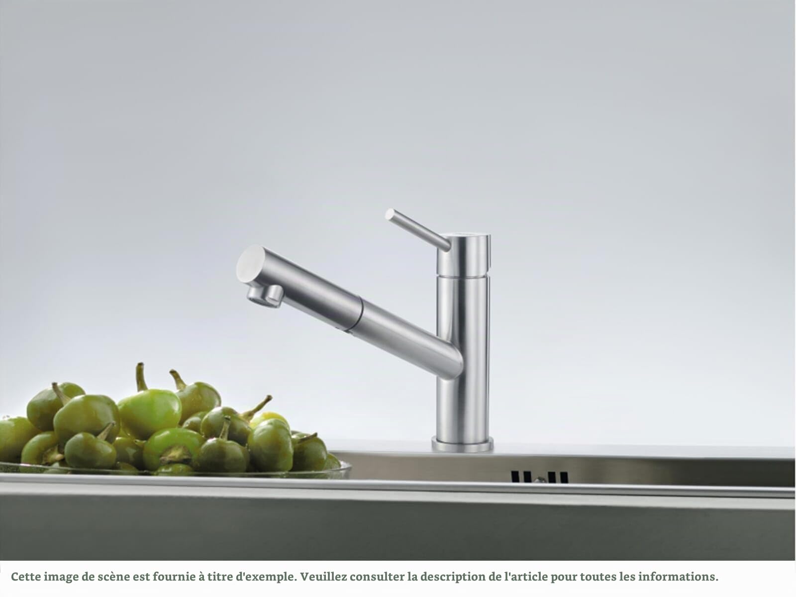 FRANKE; Robinet de cuisine Orbit Pull-Out (115.0569.461); Couleur : inox