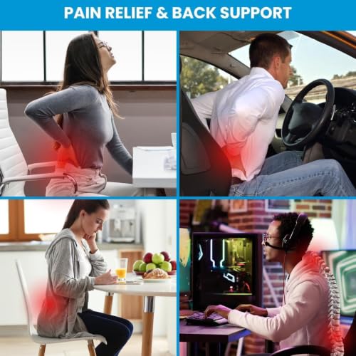 Image of TEKCOOL Memory Foam Car Seat Back Support, Orthopedic Lumbar Back Rest for Back Pain Relief, Back Support Pillow for Office ChairCarBack Support Pillow,-Seat Cushion, Zed Black.