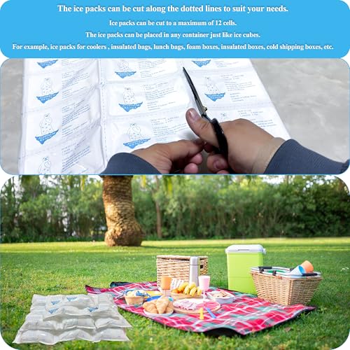 Image of Dry Ice Packs for Shipping - 4 Sheets(12 Large Ice Cell per Sheet) | Long-Lasting Cold Reusable Freezer Packs for Coolers, Lunch Boxes & Insulated Containers | Cold Pack for Shipping Food