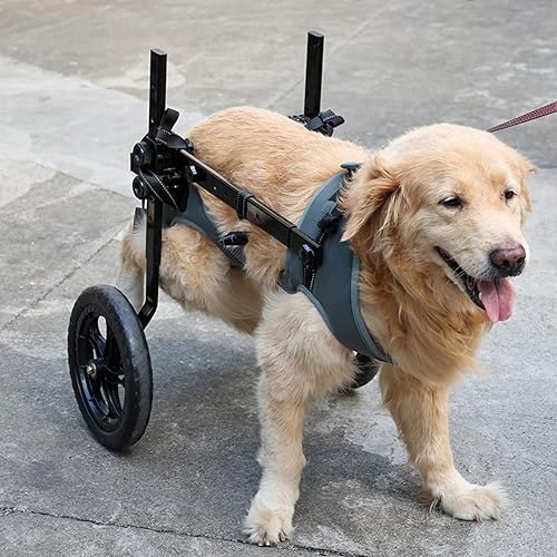 Folding and Adjustable Two-Wheel Pet Pram, Wheelchair for Dogs, Rear Limb of Pet Rehabilitation, Grey,XL - Image 3