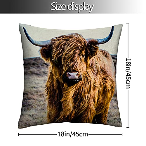Binati Cow Decorative Throw Pillow Cover Case Highland Cow Cattle Ox Horn Hairy Cotton Linen Pillow Cases Square Standard Cushion Covers For Couch Sofa Bed 18X18 Inch (Set Of 2) #TOP1