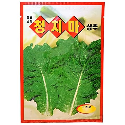 Lettuce Seeds Korean. 2 Pack(4grams-each) by Holtgarden Cover