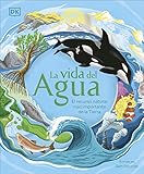 agua saborizada vida baggio  La vida del agua (Water Cycles): El Recurso Natural Mas Importante De La Tierra
