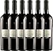 Produktbild 6er Paket - Piano del Cerro Aglianico del Vulture DOC 2016 - Vigneti del Vulture mit VINELLO.weinausgießer | trockener Rotwein | italienischer Wein aus Basilikata | 6 x 0,75 Liter