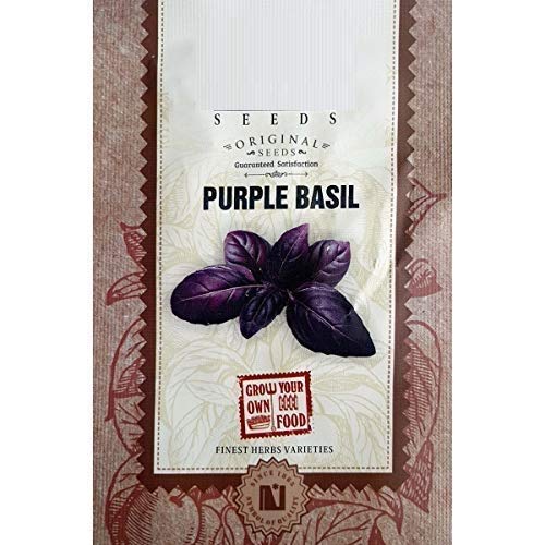 Vibex-™ VXI-713-Purple Basil Herb Seeds (B08X5ZHXQ2) Amazon Price History, Amazon Price Tracker