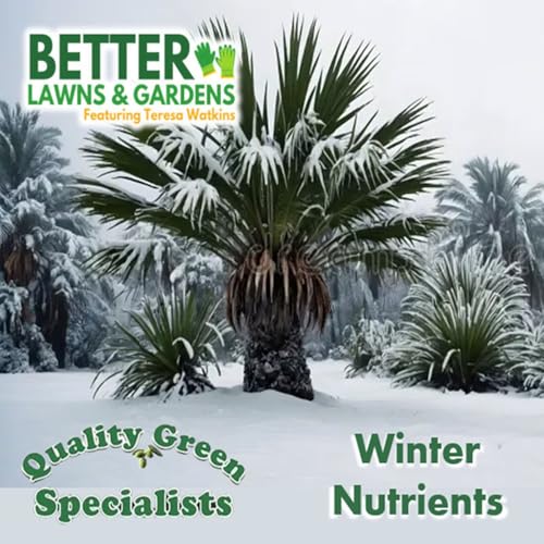 S2 Ep419: Better Lawns and Gardens - Hour 1 Winter Nutrients Jan 17 2026