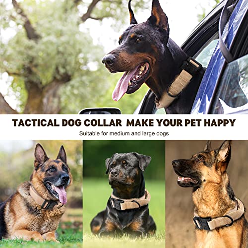 Image of FYA Tactical Dog Collar (M, Brown Collar)