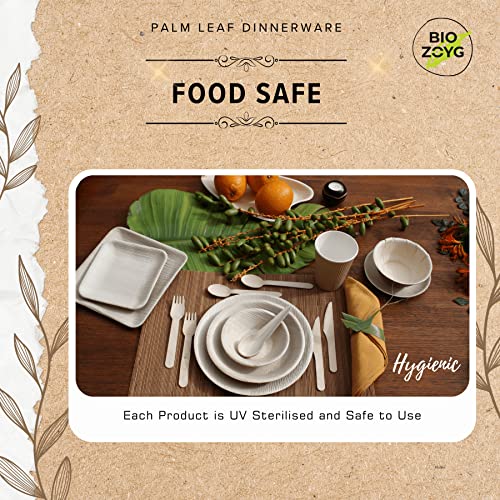 Biozoyg Disposable 6 Inch Square Palm Leaf Plates, (50 Pcs) Bamboo Plates Like Party Pack, Compostable & Biodegradable Plates For Dessert, Eco Friendly Plates Alternative To Plastic Plate Paper Plate #TOP2