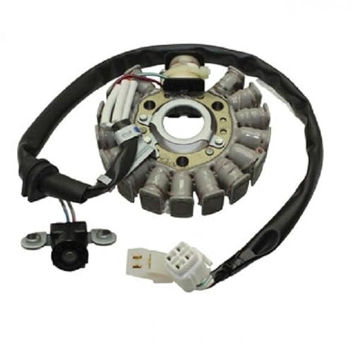 ST00002/5DS8511000 - Stator di accensione per