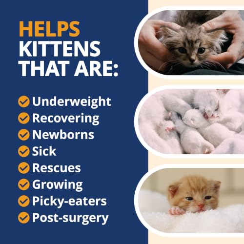 Image of Under The Weather Ready Cal High Calorie Powder for Kittens | Kitten Supplement & Weight Gainer | Appetite Support with Vitamins & Minerals | Veterinarian Formulated | Chicken Flavor