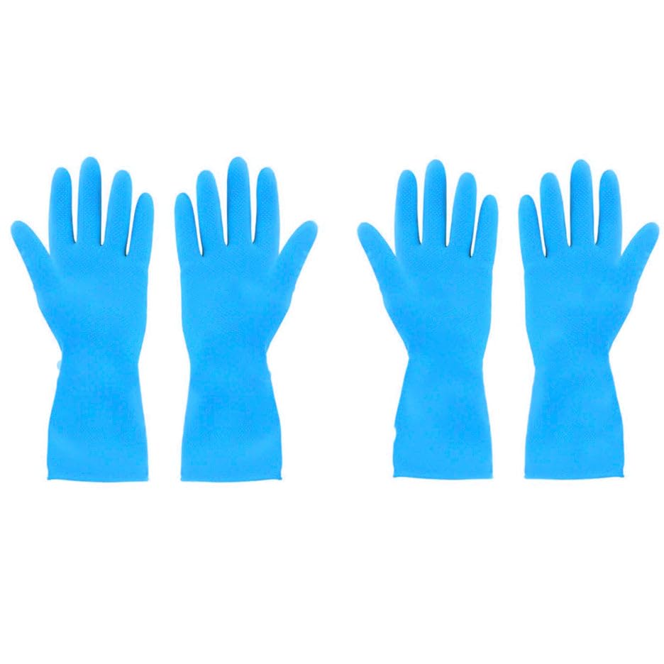 Garth Rubber Hand Gloves for Dishwashing, gardening, kitchen cleaning | Skin-friendly Reusable Cleaning Gloves | Anti-slip Kitchen Cleaning (2 Pair Large Blue) | (B0CX99Z3SV) Amazon Price History, Amazon Price Tracker