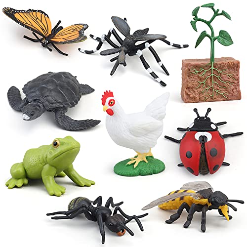 Montessori Life Cycle Animal Figures with Flash Cards, Realistic Animal Plant - Bild 7 von 71
