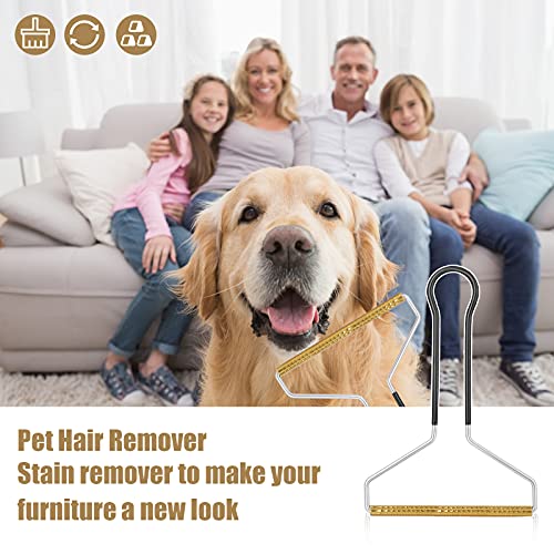 Molain Haustierhaarentferner, Katzen- und Hundehaarentferner, Tierhaarentferner für Möbel (Schwarz)