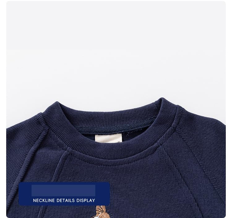 Irsutey Baby Boys Cartoon Embroidered Solid Color Crew Neck Loose Sweatshirt Long Sleeve Shirt Tops3