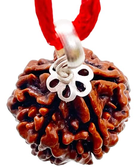 See full amazon price history chart for 5 Mukhi Rudraksha Original Certified Nepali 5 Mukhi Rudraksha Pendant Panch Mukhi Rudraksha 16mm 5 मुखी पांच रुद्राक्ष Five Mukhi Rudraksha 5 Face Rudraksha Original Nepal By Certified Gems 5 Mukhi Rudraksha Original Certified Nepali 5 Mukhi Rudraksha Pendant Panch Mukhi Rudraksha 16mm 5 मुखी पांच रुद्राक्ष Five Mukhi Rudraksha 5 Face Rudraksha Original Nepal By Certified Gems (B07YYCN2SN) Amazon Price History, Amazon Price Tracker