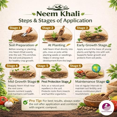 Image of Divayanshi Neem Khali Fertilizer | Organic Neem Cake Powder for Plants | Natural Pest Control, Soil Conditioner & Growth Booster | For Garden, Pots & All Plants-500 gm