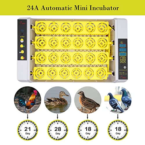 MUYIRTED Inkubator Hühner 24 Eier Brutmaschine Vollautomatisch Brutautomat Wachteln Enteneier Geflügel Egg Incubator… – Bild 4