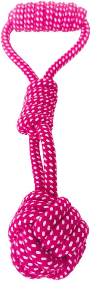 Brinquedos para Cães Mastigarem com Amor e Segurança 6 Imagem do Produto