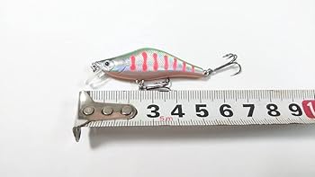 Amazon.co.jp: セッパリ 渓流用 ヘビーシンキングミノー 60S 4.8