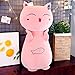 KXCAQ Simpatico Cuscino Gatto Peluche Bambola addormentata Compleanno Bambini Regalo di Natale Decorazione della casa Camera da Letto Soggiorno 25-100 cm 1 Spaghetti di Riso