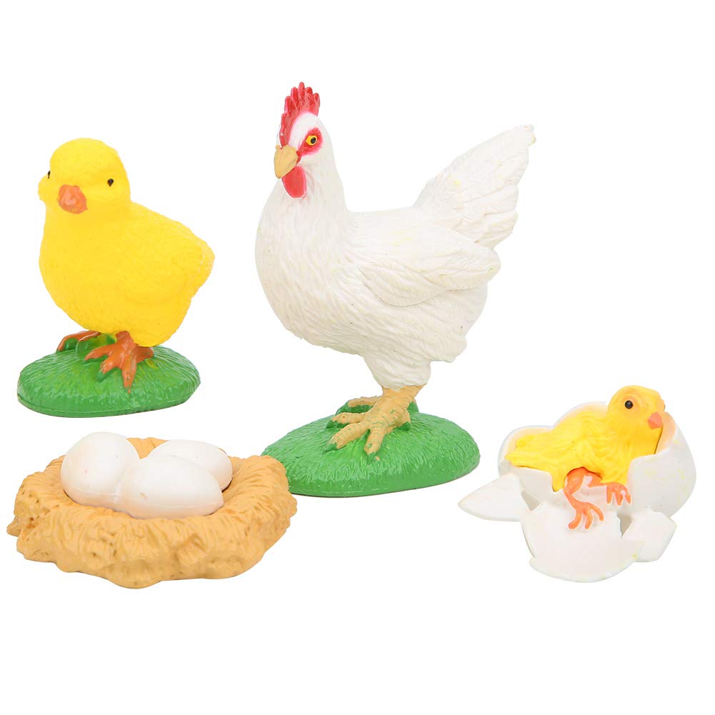 KENANLAN Life Cycle Toys for Kids - Educational Kid's Toy - Children Highly Simulated Animal Life Cycle Learning Model Toy - Preschool Learning Activities (chick growth cycle)
