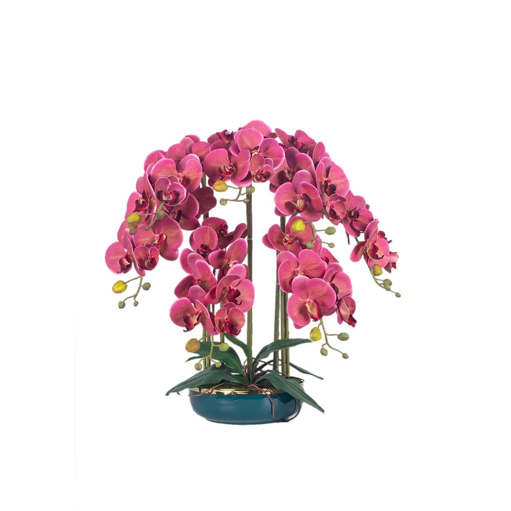 DFGHNBVC Simulation Flower Dried Flower Phalaenopsis Artificial Flower Simulation Butterfly Orchid Bonsai Flower Arrangements With Ceramic Vase Decoration Home Kitchen Bedroom.A