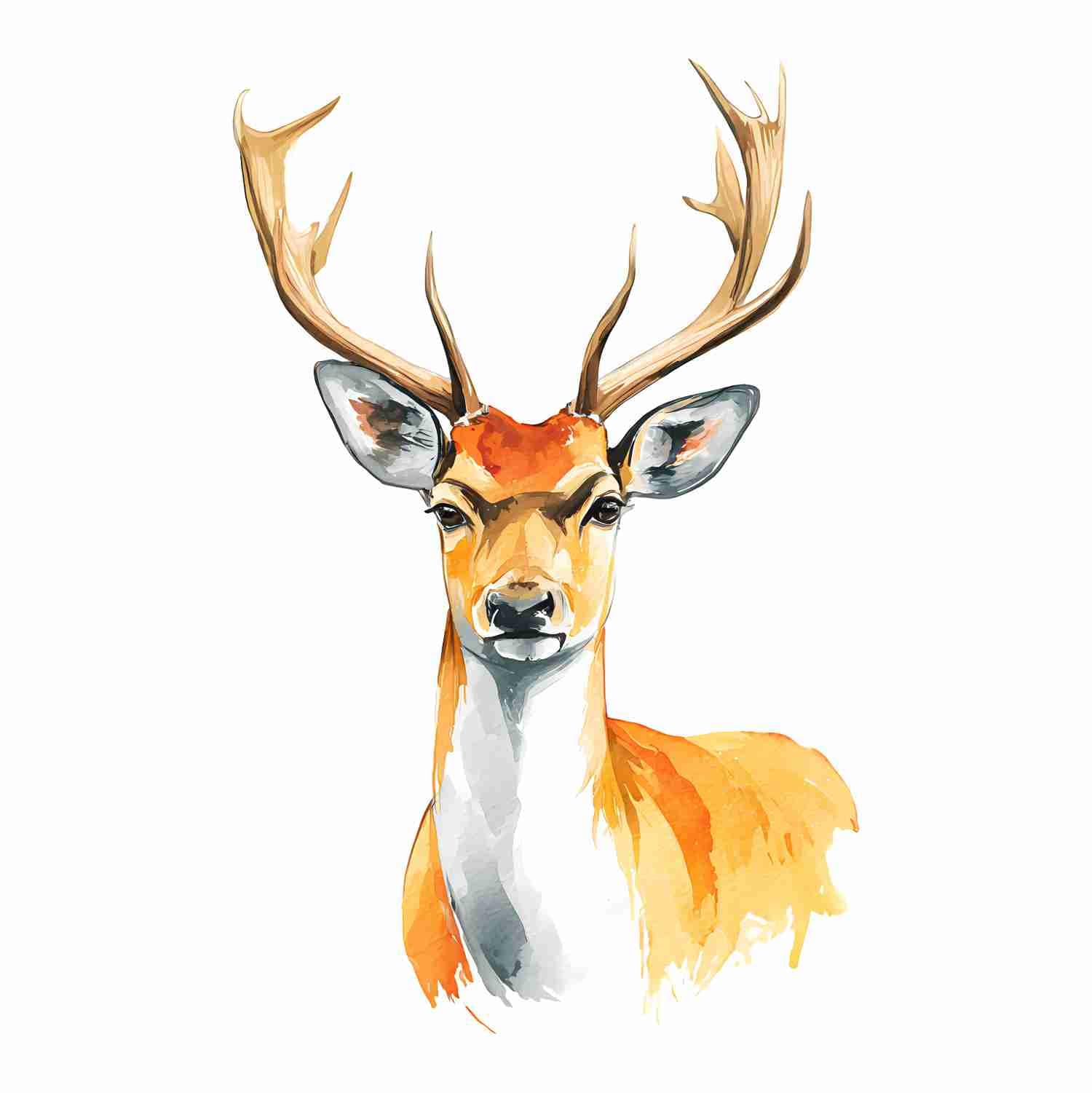 Illustration Deer Wildlife Wall Sticker – Nature Animal Vinyl Wallpaper for Bedroom Living Room Decor (43 x 60 cm)-image-17