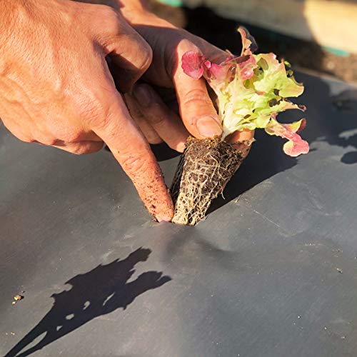 NovaMulch 120cm x 20m, Malla antihierbas de Papel Biodegradable ...