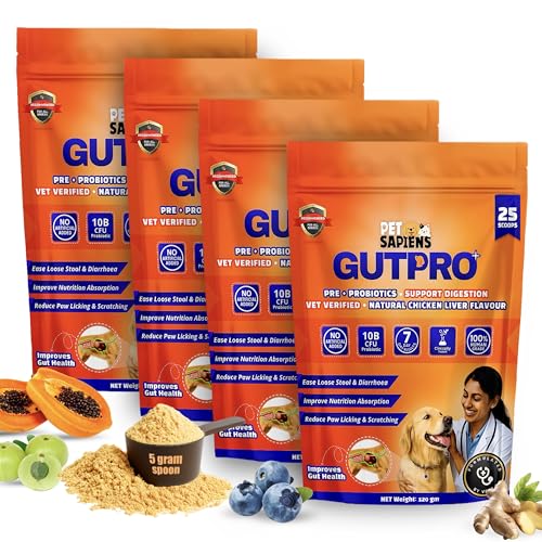 Image of PETSAPIENS Pre + Probiotic Supplement for Dogs (480g) | 10B CFU | Boosts Gut Health & Immunity | Gluten-Free | Vet Formulated - Prevents Scratching, Paw-Licking and Indigestion, Chicken Flavour