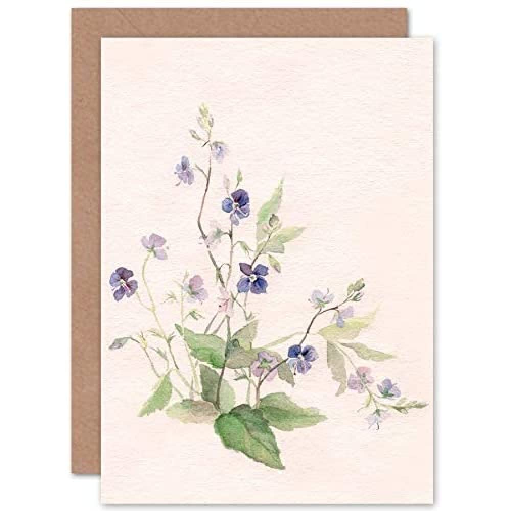 Wee Blue Coo Flower Veronica Watercolour Greeting Card With Envelope Inside Premium Quality