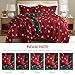Madison Park Christmas Throw and Decorative Pillow Set, Festive Reversible Jacquard, All Seasonal Lightweight 2-Piece Bedding, 50