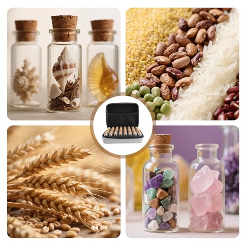 QinOustore 40 Slots Saatgut Aufbewahrungsbox,Lagerung von Saatgut,Seed Storage Organizer,Samenbox für Gemüse-, Kräuter-,Blumen- und Fruchtsamen,stoß- und sonnenschutz (Samen nicht Enthalten)