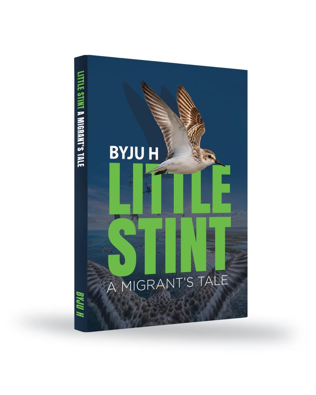 Little Stint: A Migrant's Tale, book cover